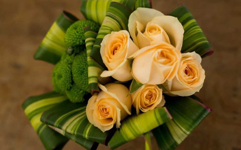 Qual rosa dar para mãe de Campinas?