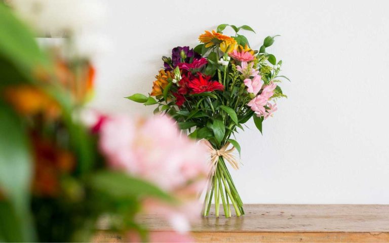 Envie Flores do Campo no Dia dos Namorados em Campinas