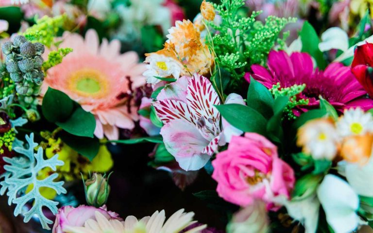 Onde Comprar Flores para o Dia dos Namorados em Campinas