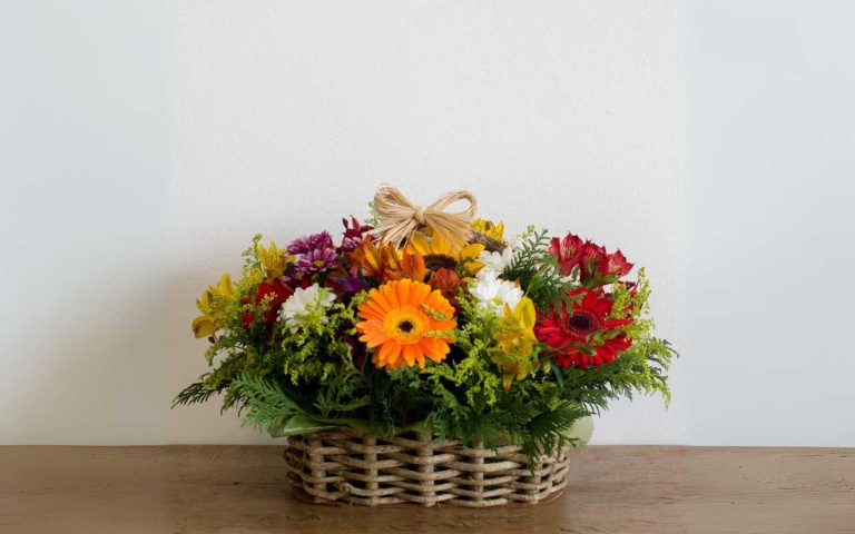 Surpreenda seu Amor com Flores do Campo no Dia dos Namorados em Campinas