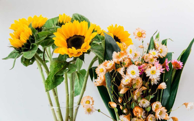 Arranjos Florais para Homenagear seu Pai em Campinas