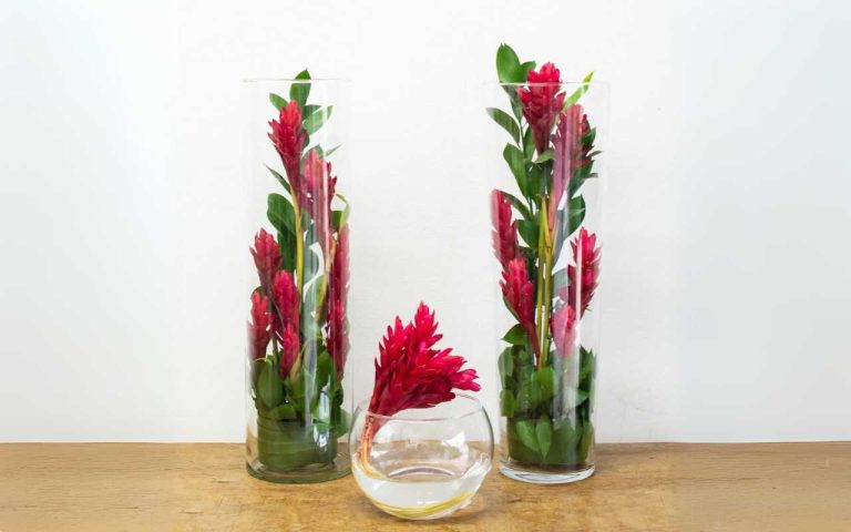 Flores Personalizadas para o Dia dos Pais em Campinas