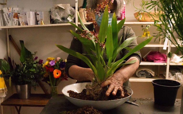Flores e Arranjos para o Dia dos Pais em Campinas
