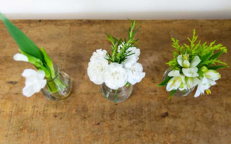 Flores para o Dia dos Pais: Demonstre Seu Carinho em Campinas