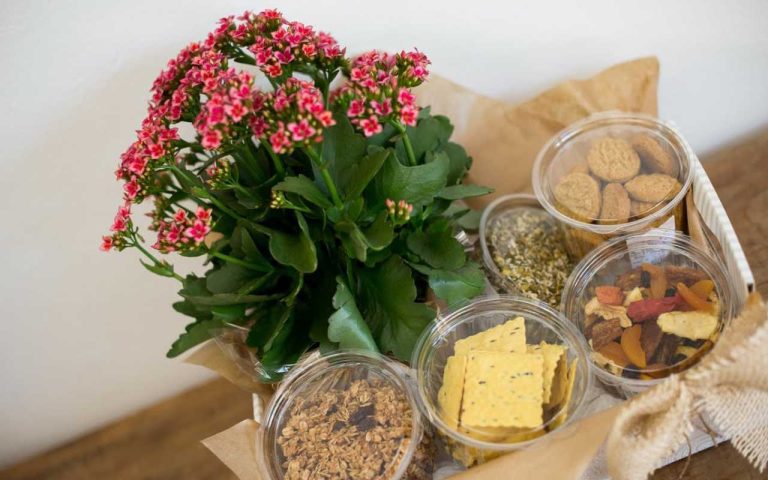 Presentes com Flores para o Dia dos Pais em Campinas