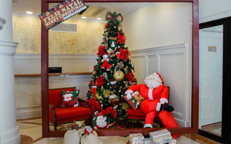 Encomende sua Árvore de Natal 2024 Decorada no Taquaral, Campinas, SP