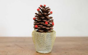 Decoração Minimalista: Arranjos de Flores para o Natal 2024 em Campinas